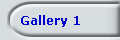 Gallery 1