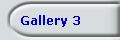 Gallery 3