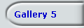 Gallery 5