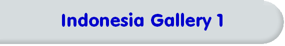 Indonesia Gallery 1