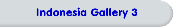 Indonesia Gallery 3